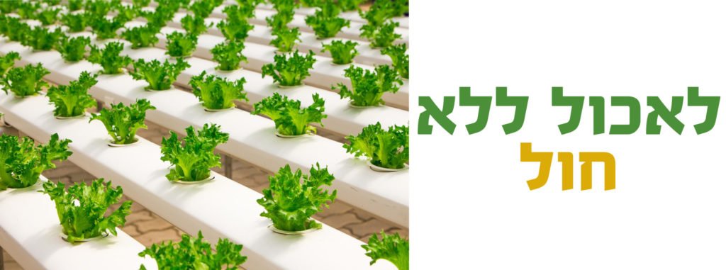 גידול הידרופוני גידולי מים